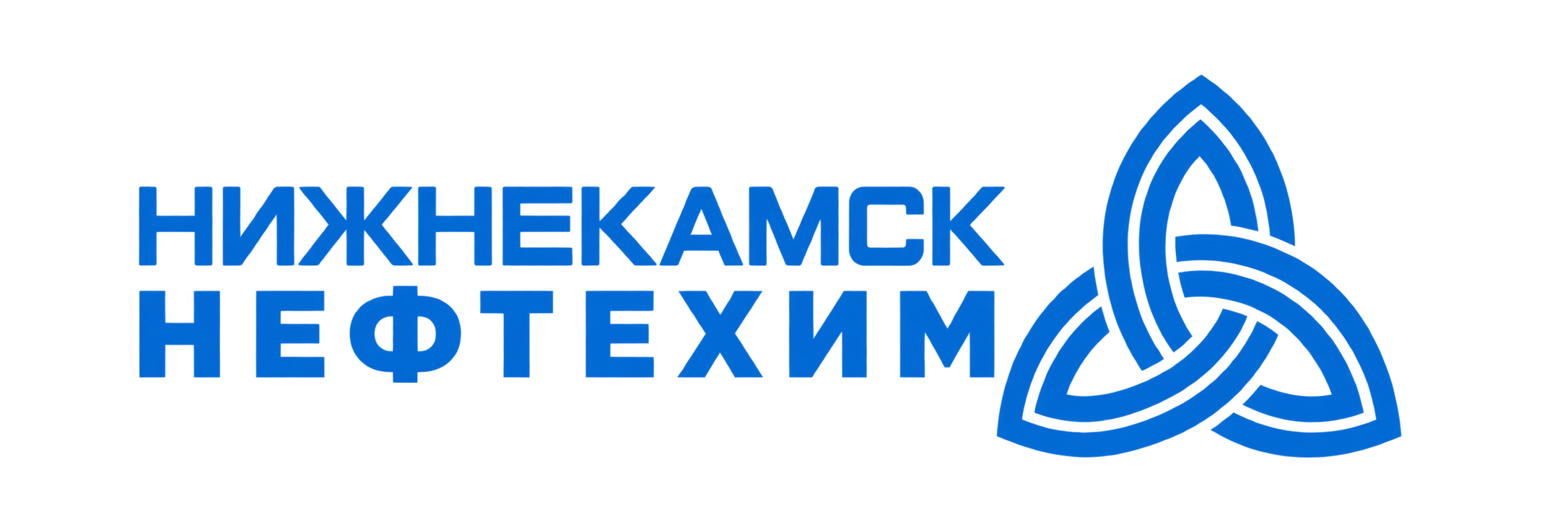 Логотип Нижнекамскнефтехим